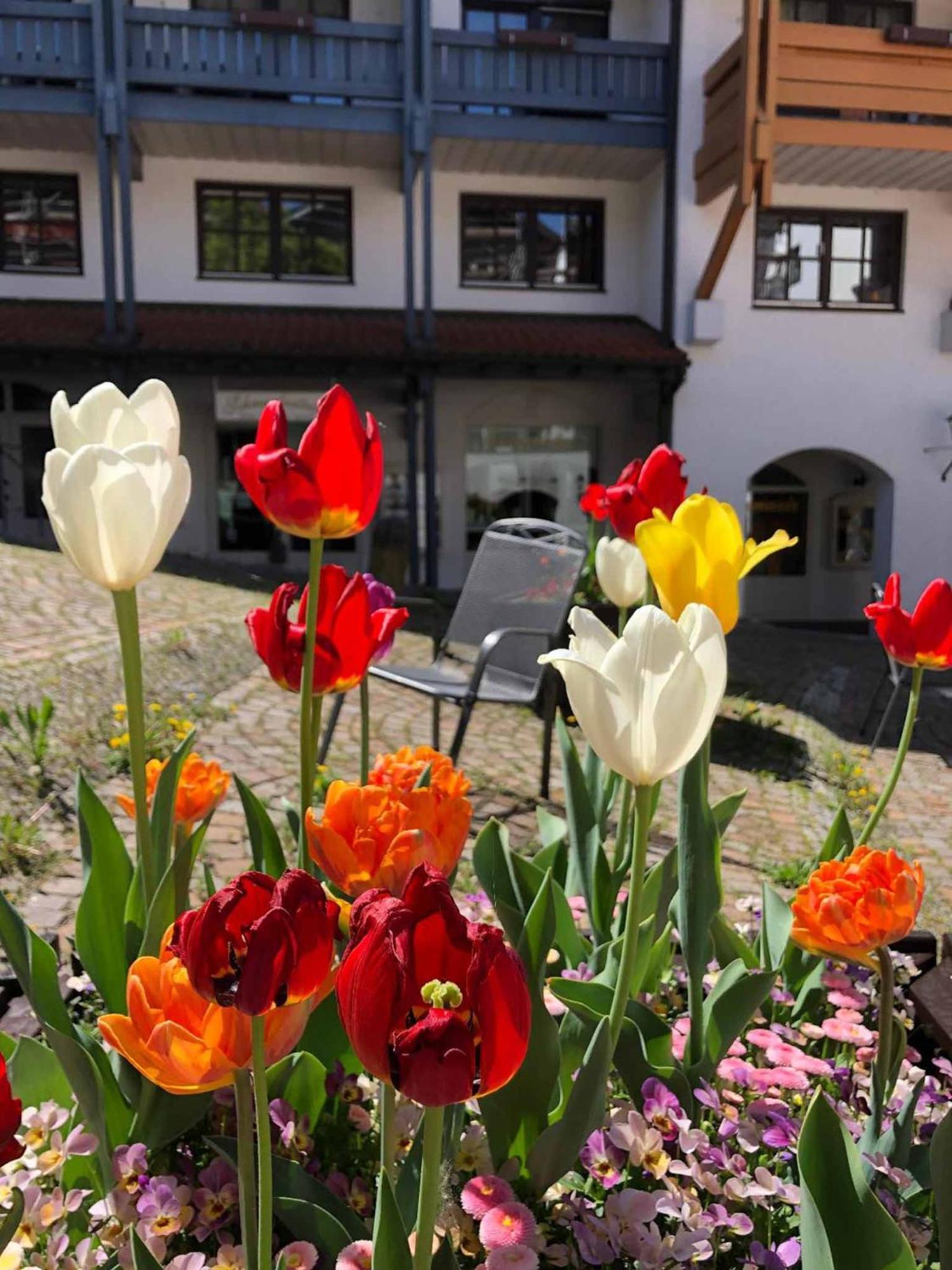 Appartement Am Brunnenplatzl Mit Bademantelzugang Bad Griesbach  Kültér fotó
