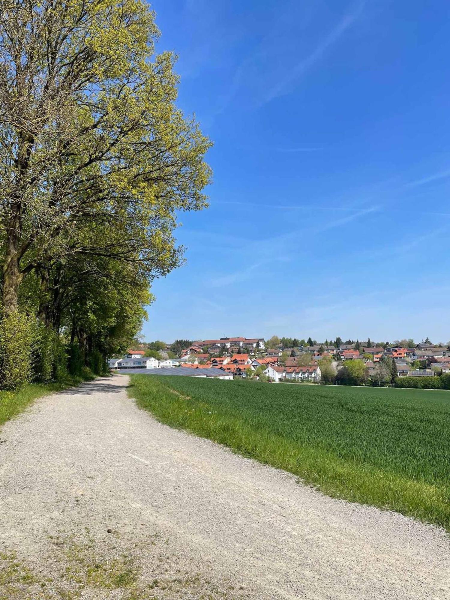 Appartement Am Brunnenplatzl Mit Bademantelzugang Bad Griesbach  Kültér fotó